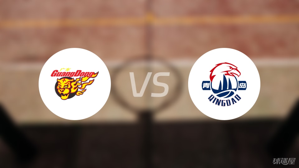 广东vs青岛伤病